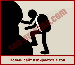 Плагин Simple Optimizer для WordPress