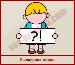 Что делать, если WordPress не может скопировать файлы при установке, и установка не проходит?