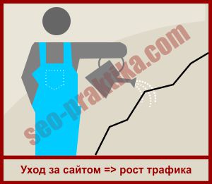 Что делать, если при установке темы WordPress возникает ошибка